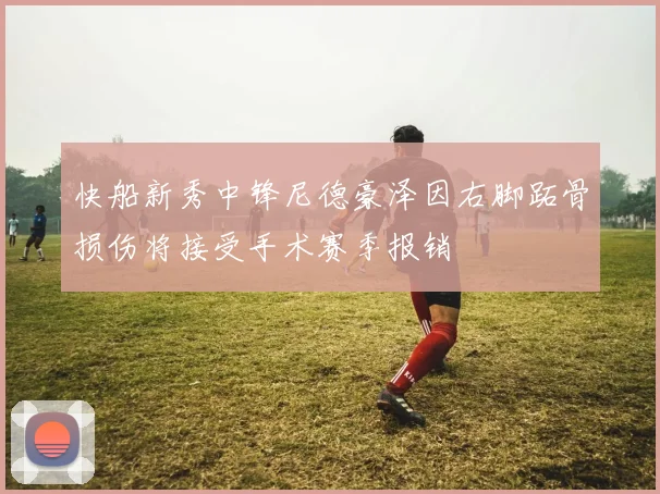 快船新秀中锋尼德豪泽因右脚跖骨损伤将接受手术赛季报销
