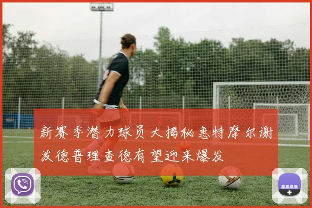 新赛季潜力球员大揭秘惠特摩尔谢泼德普理查德有望迎来爆发