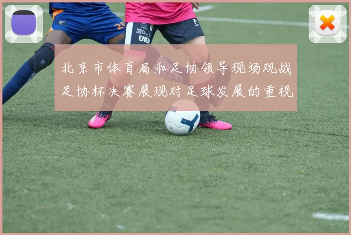 北京市体育局和足协领导现场观战足协杯决赛展现对足球发展的重视
