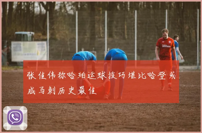 张佳伟称哈珀运球技巧堪比哈登或成马刺历史最佳