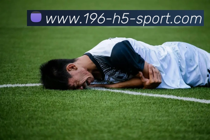 多媒体互动体验